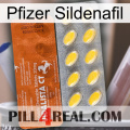 Pfizer Sildenafil 42